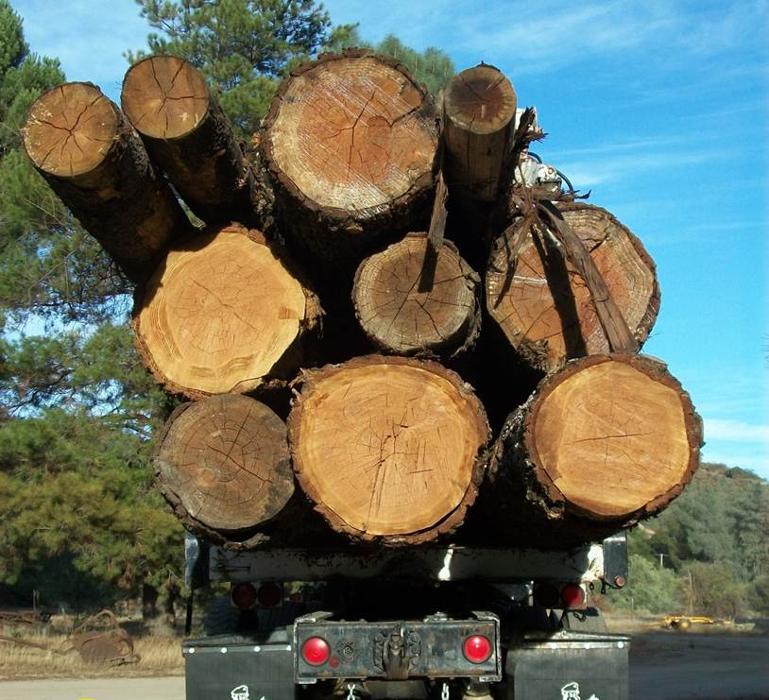 Creston Sawmill Image