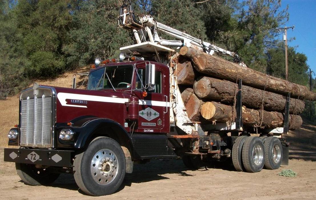 Creston Sawmill Logo