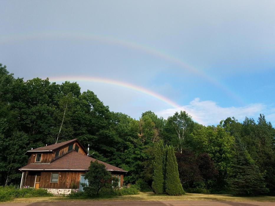 Shire in the Woods Image