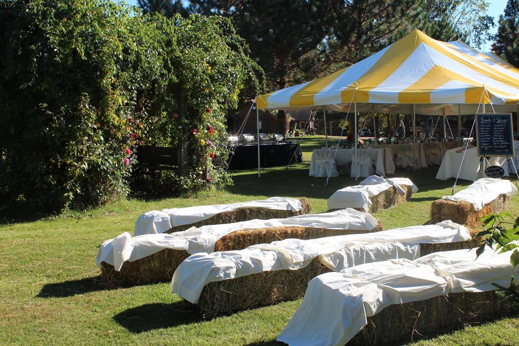 Shire in the Woods Image