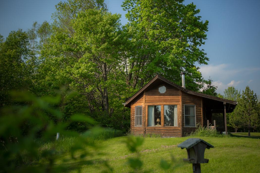 Shire in the Woods Image