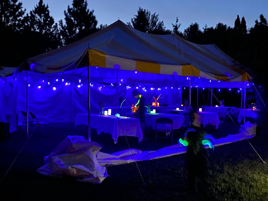 Shire in the Woods Image