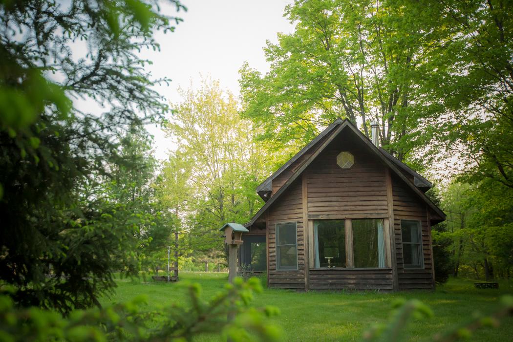 Shire in the Woods Image