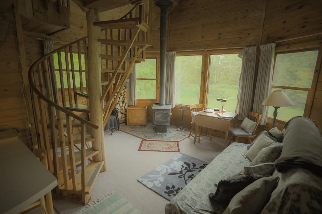 Shire in the Woods Image