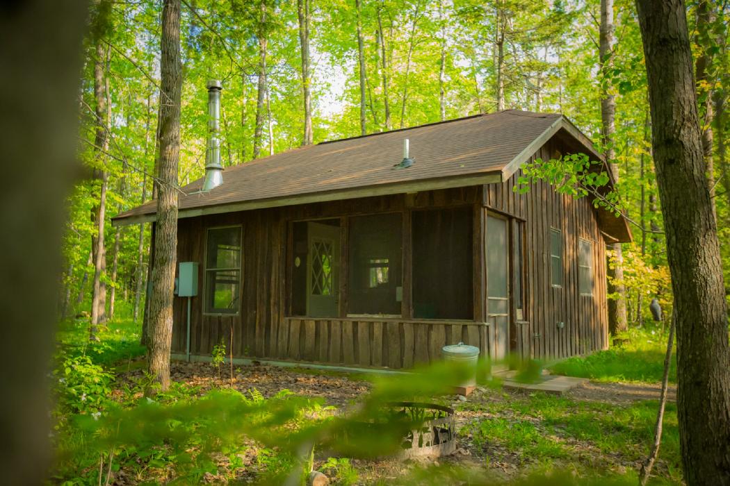 Shire in the Woods Image