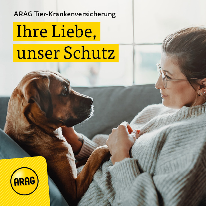 website arag big air - Nicht für jedermann