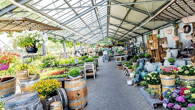 Raiffeisen Agilis eG - Raiffeisen-Markt Drensteinfurt, Raiffeisenstraße in Drensteinfurt
