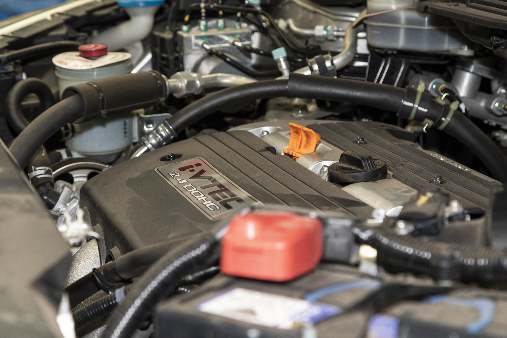 Lion Automotive and Tyre Mart