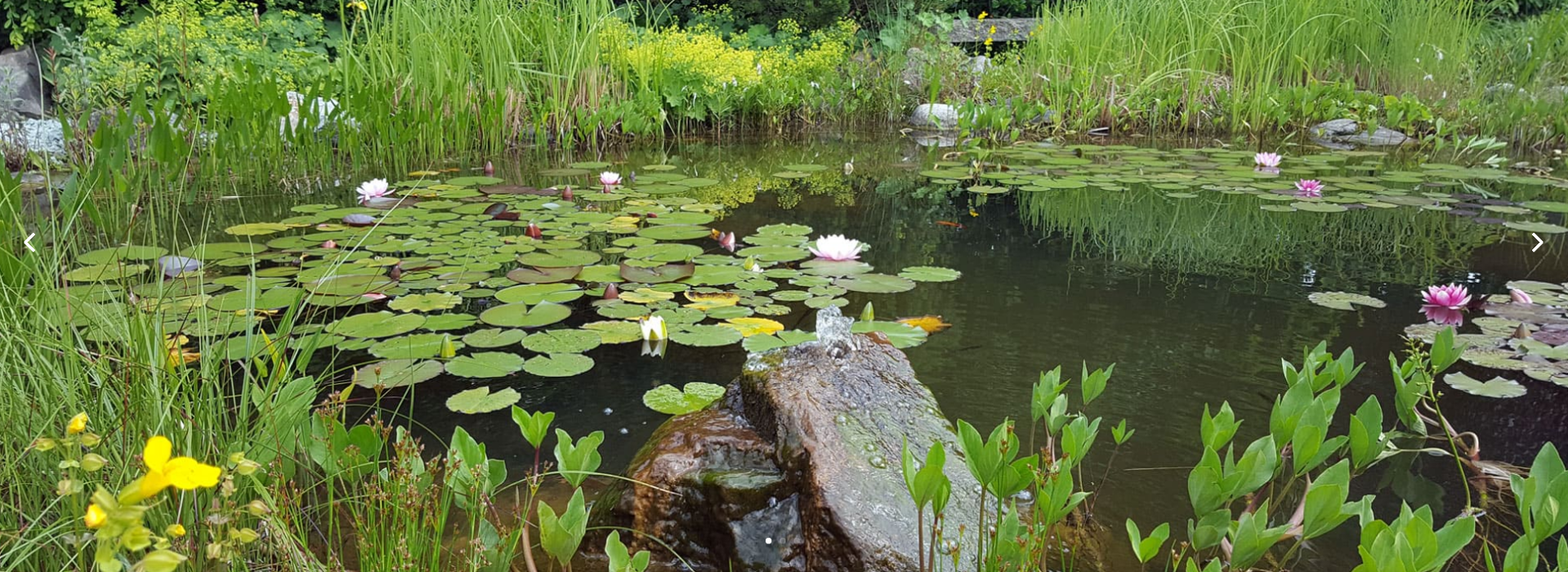 Gartengestaltung Josef Reichhart, Am Mühlbach in Wiggensbach