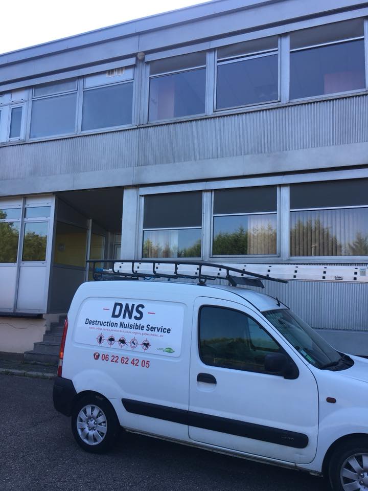 Miniature de la galerie