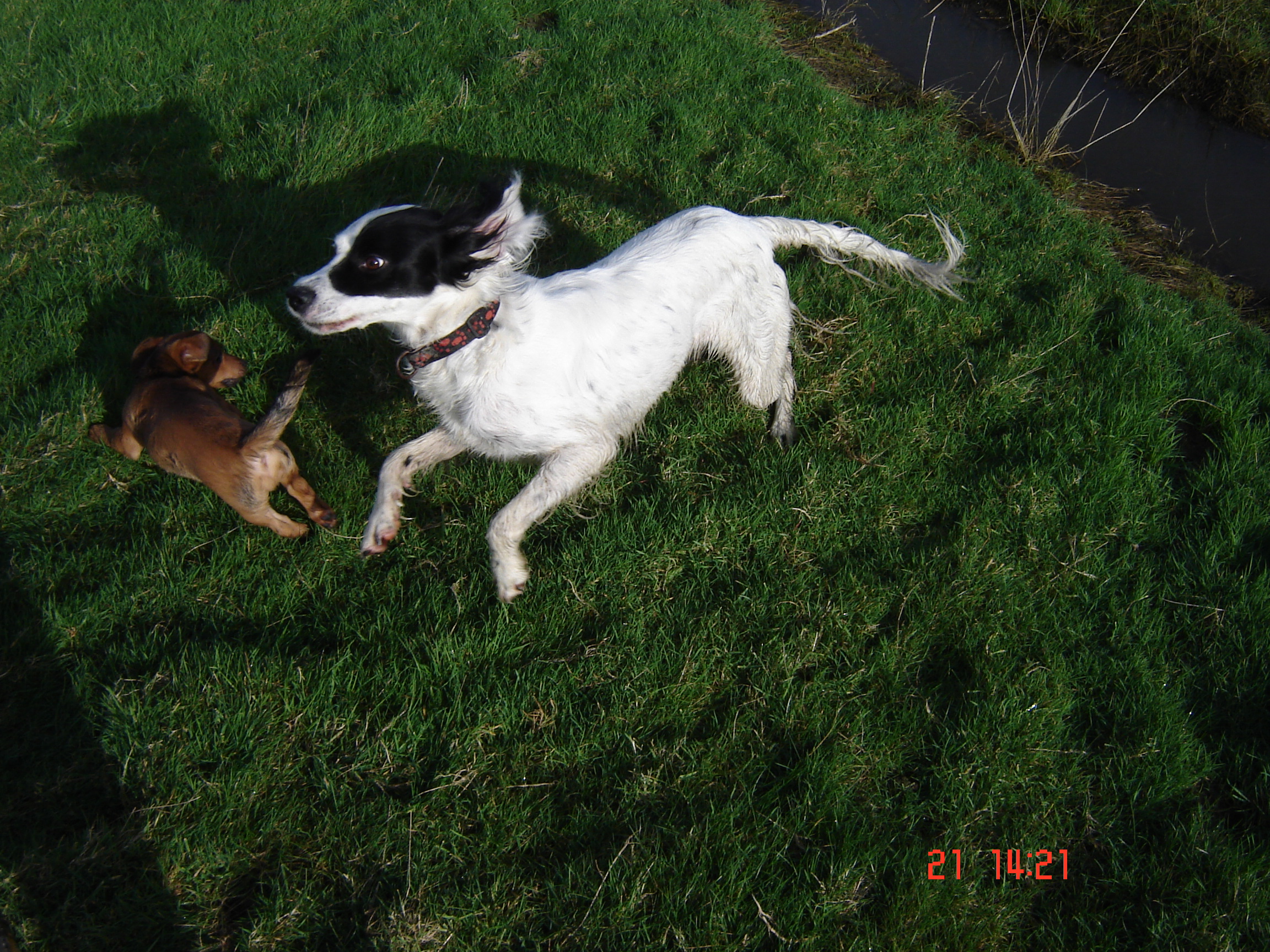 Miniature de la galerie