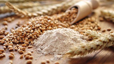 Mühlen Kaiser, Feldbergstraße in München