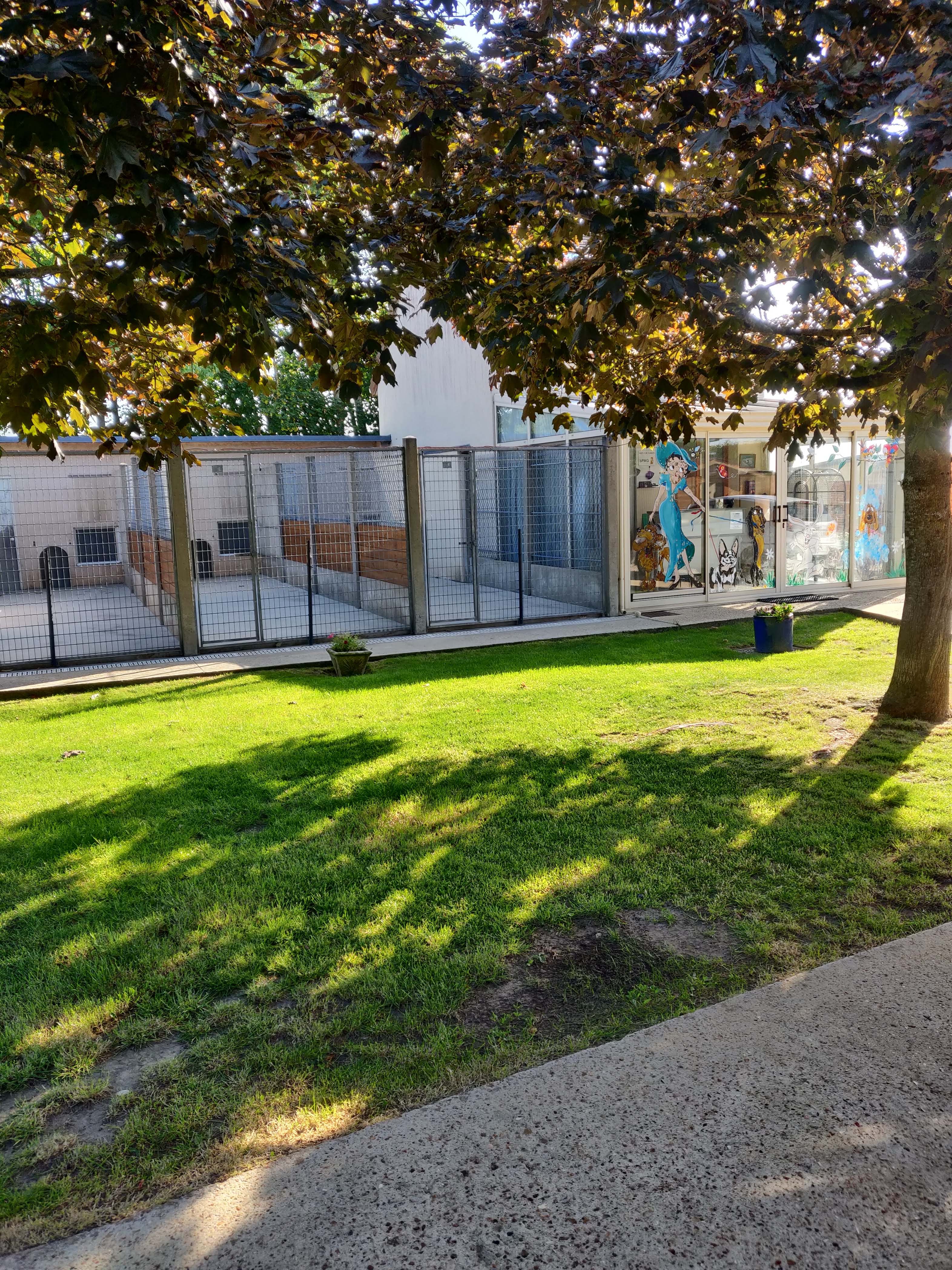 Miniature de la galerie