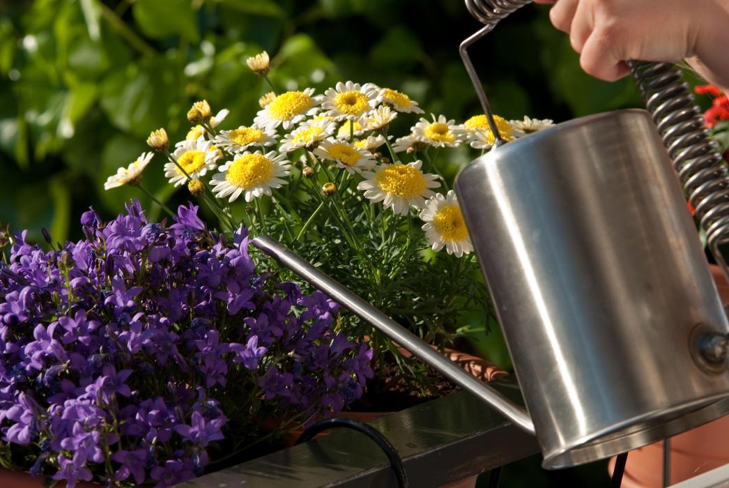 Gärtnerei Trinkl, Stadlob in Mariahof