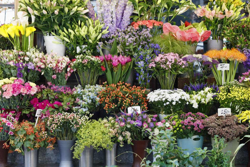 Gärtnerei Trinkl, Stadlob in Mariahof