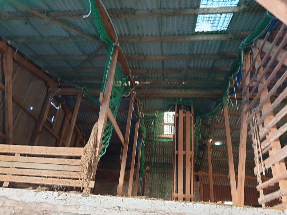 Kraus Montage & Demontage Service, Leipziger Straße in Neustadt (Hessen)