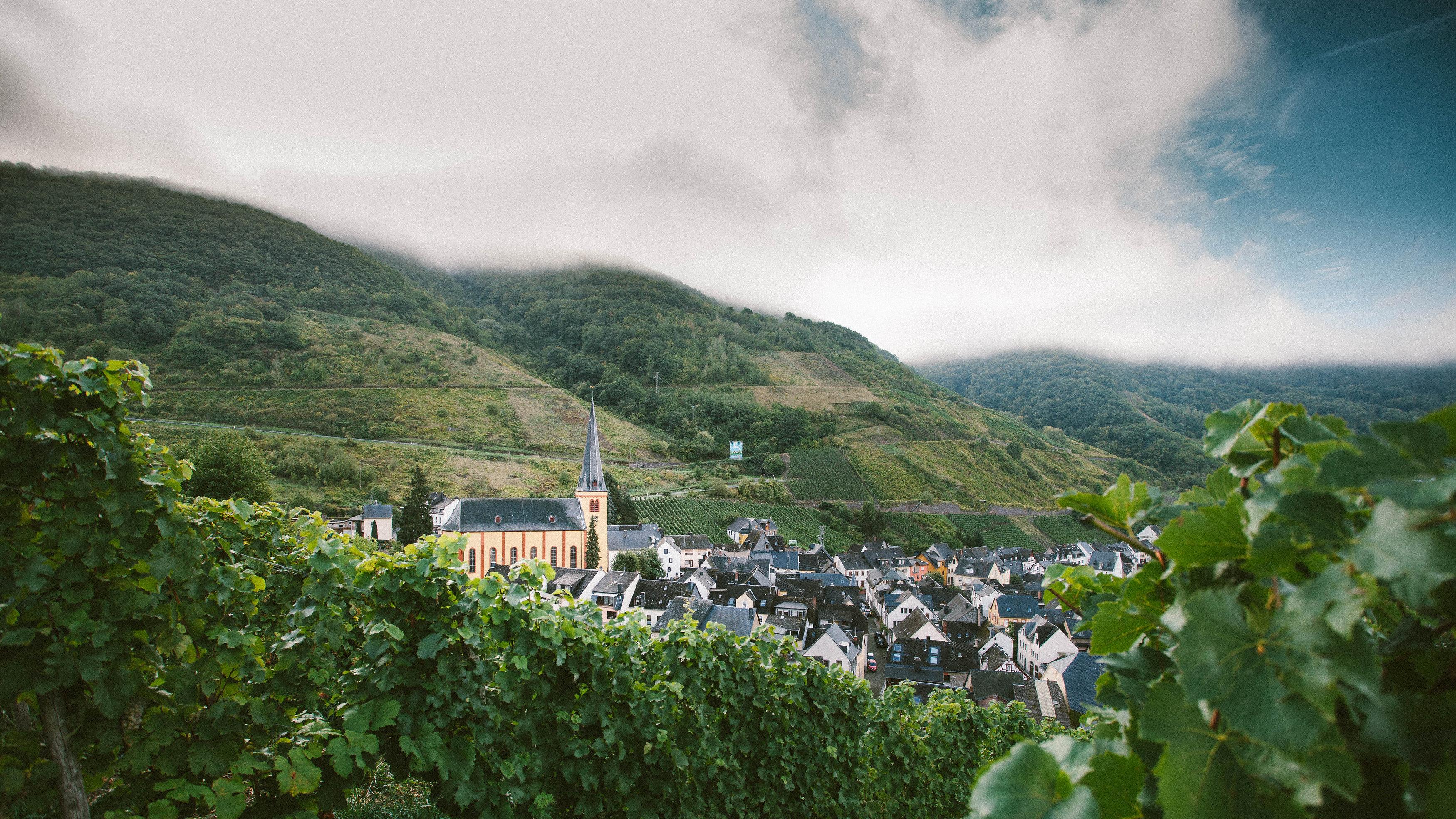 Weinmuseum Schlagkamp-Desoye GmbH, Zeller Straße in Senheim (Mosel)