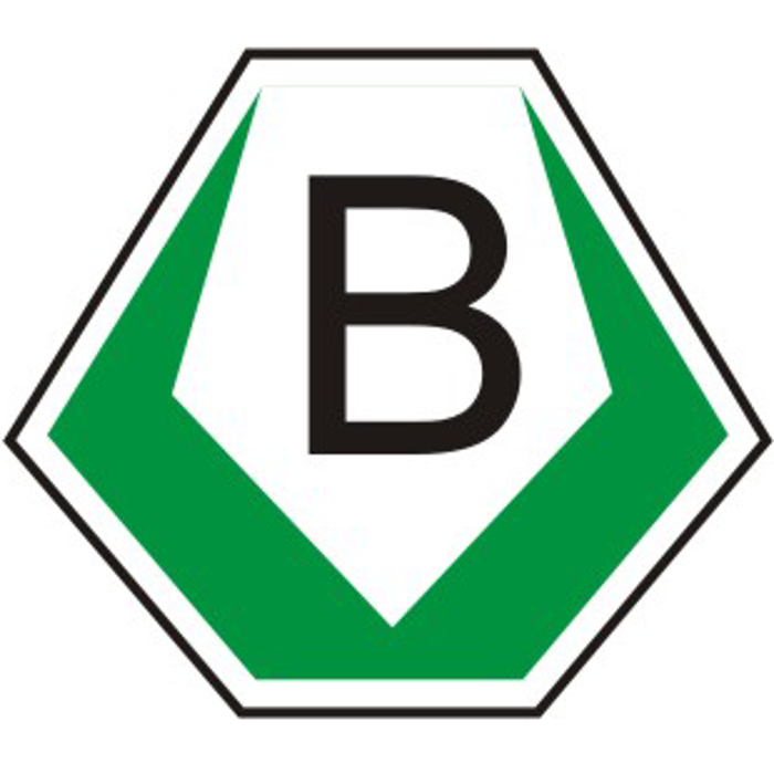 Autoschilder & Zulassungen Buffalo Wuppertal in Wuppertal - Logo