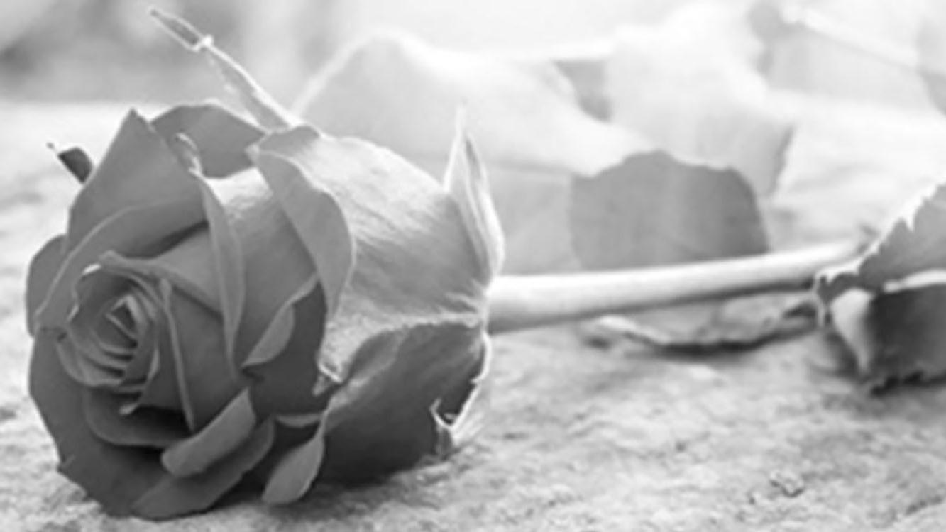 Erik Schneider Bestattungen & Schreinerei, Höcherbergstraße in Bexbach