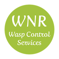 Key West Wasp Exterminator Leeds Leeds 07540 722770