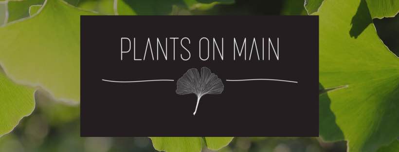 Plants on Main