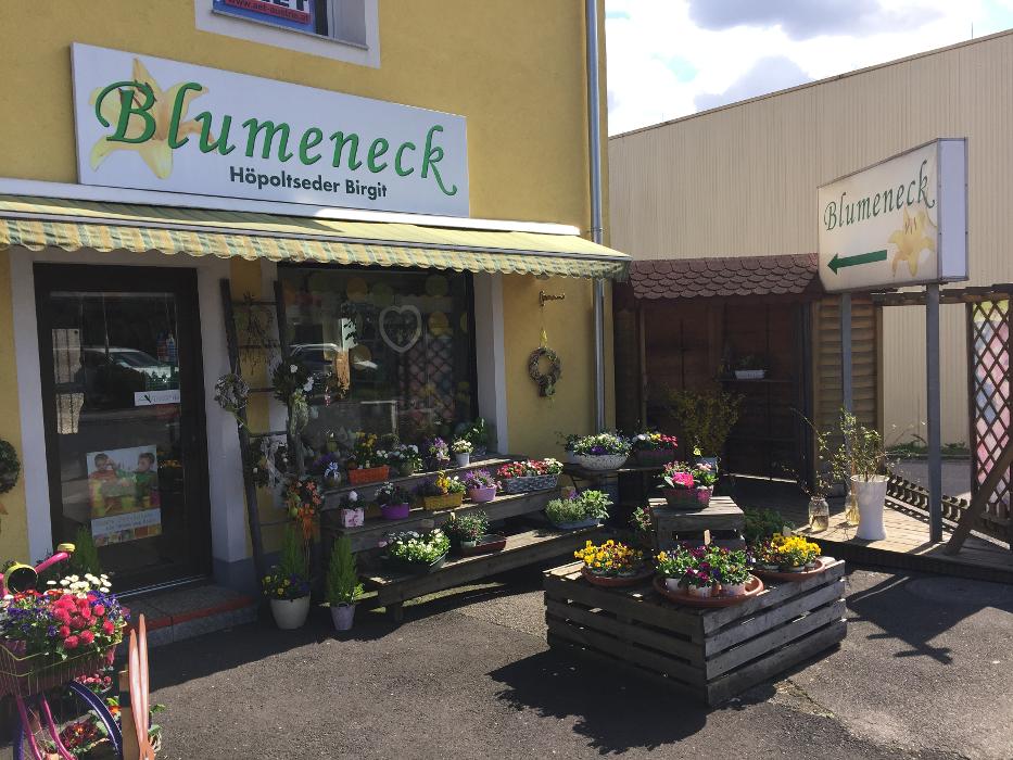 Birgit Höpoltseder - Blumeneck, Linzer Straße in Wels