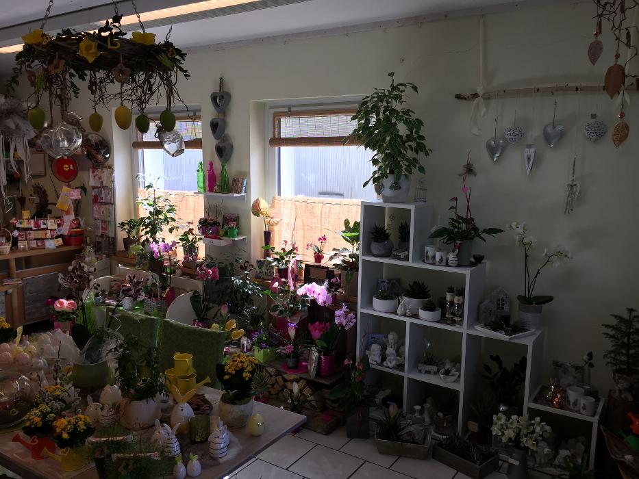 Birgit Höpoltseder - Blumeneck, Linzer Straße in Wels