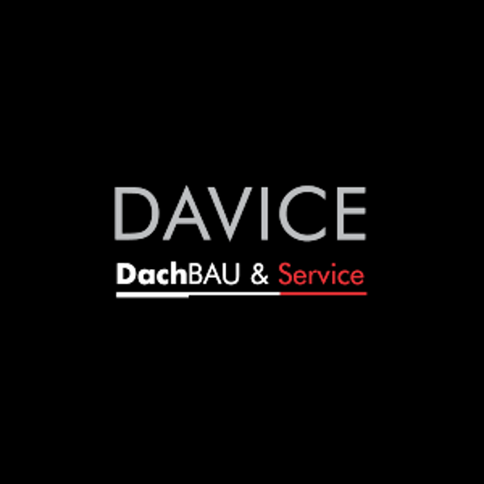 DAVICE Dachbau & Service GmbH & Co. KG in Bestwig