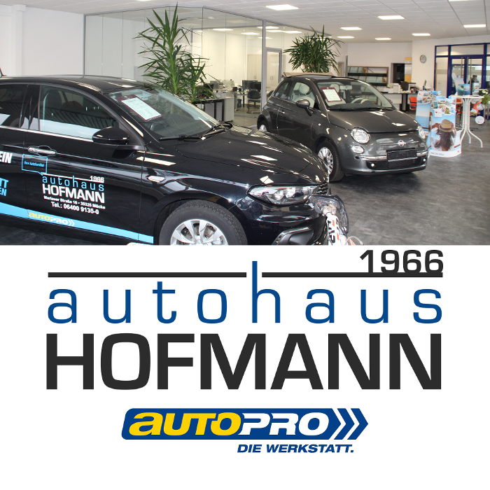 Bild zu Autohaus Hofmann, Inh. Nadja Sütcü e.K. in Mücke Bild zu Autohaus Hofmann, Inh. Nadja Sütcü e.K. in Mücke