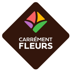 Carrément Fleurs - Fleuriste Eysines Bordeaux 33 - Livraison de fleurs à domicile