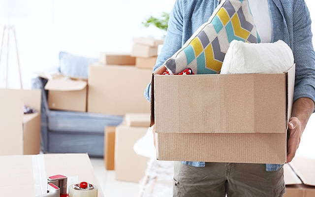 Mr Ten Percent Removals