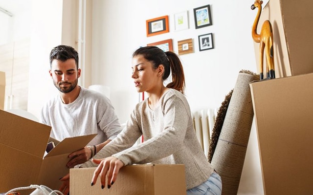 Mr Ten Percent Removals