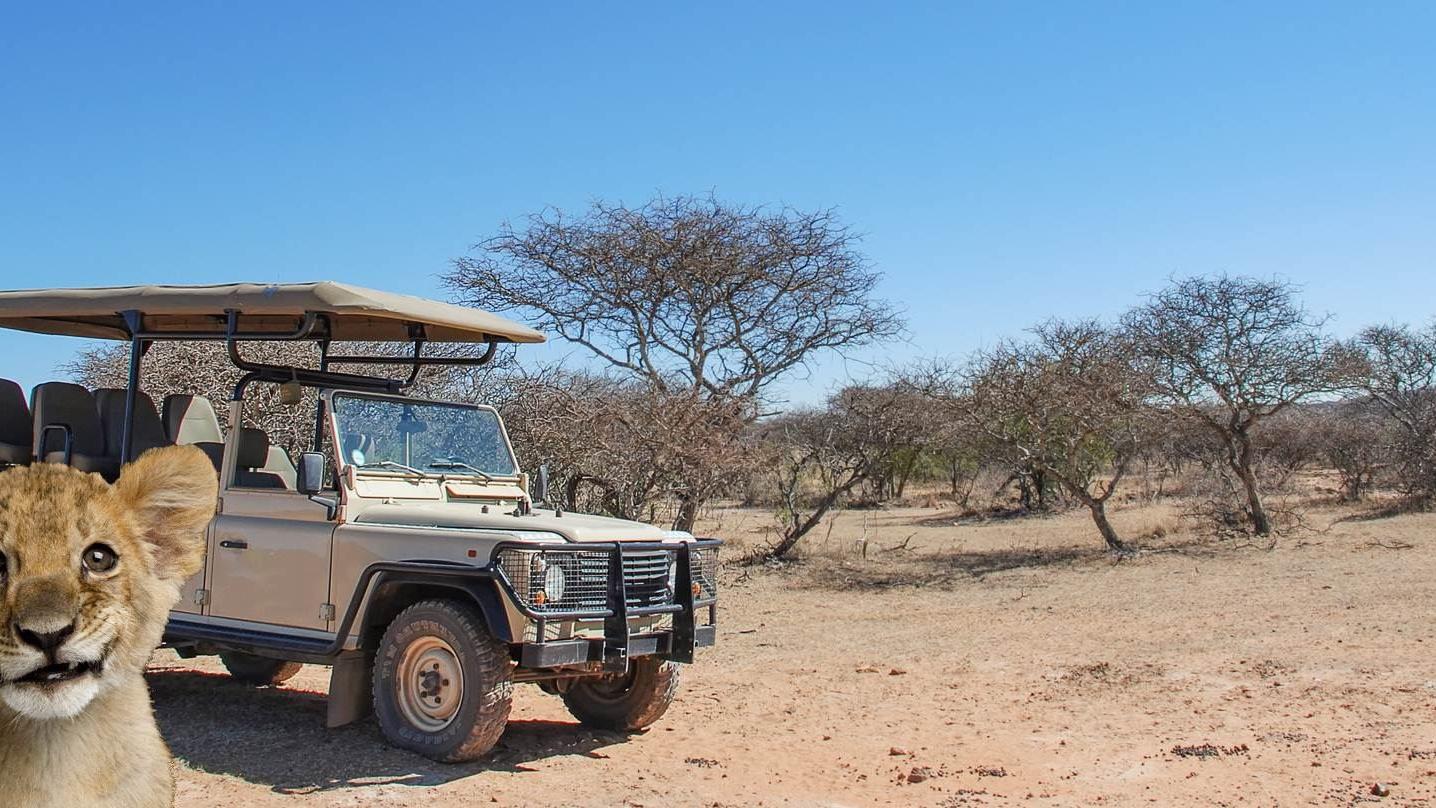 Lufthansa City Center Reisebüro Wüst, Rheinstraße in Ransbach-Baumbach