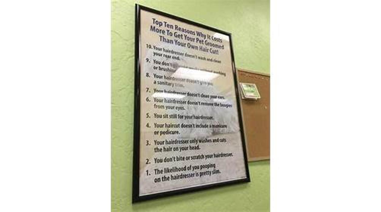 Angie's Dog-Gone Pretty - Indio, CA