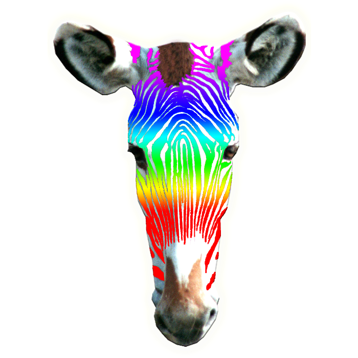 Werbung & Beschriftung Regina Vitzthum in Altenburg