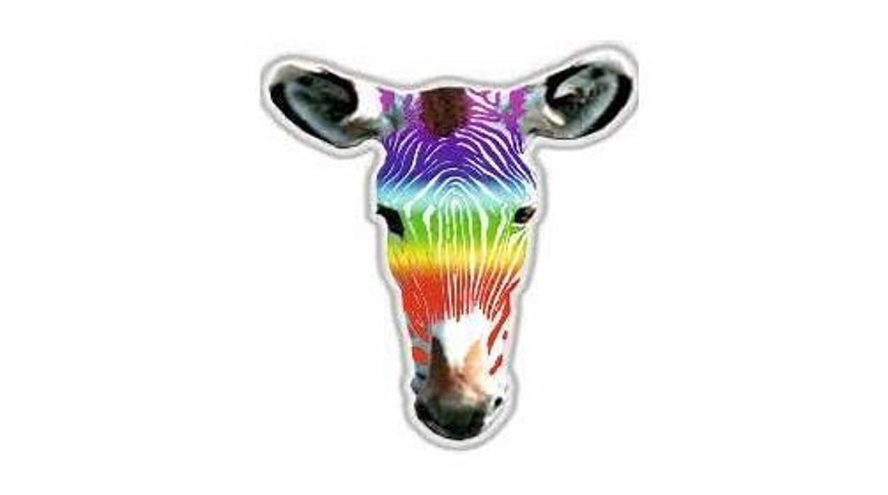 Werbung & Beschriftung Regina Vitzthum, Mittelstraße in Altenburg