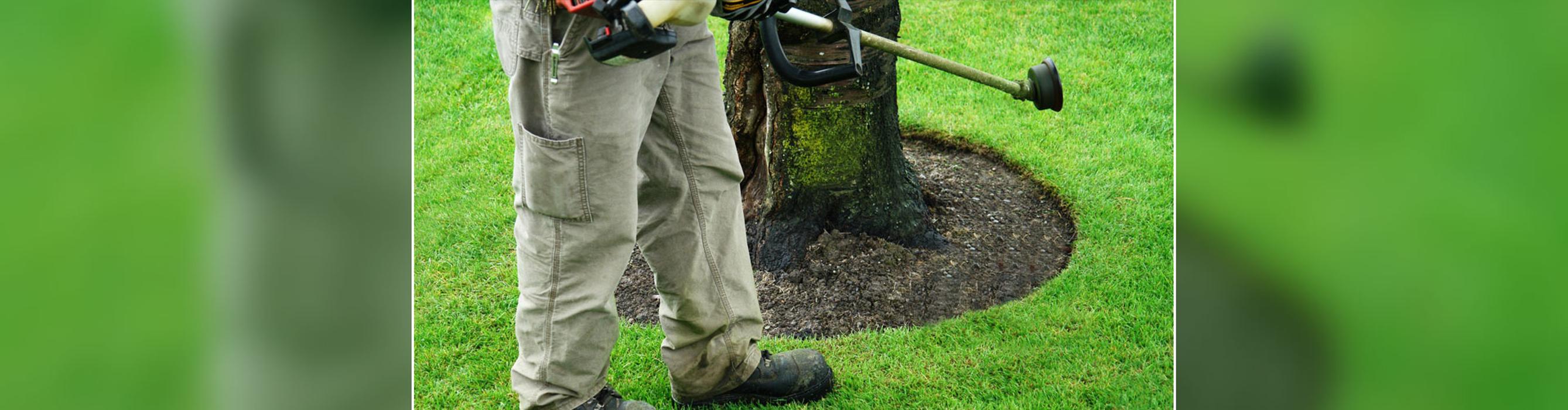 A & R Lawn Care, Inc. - Taylor, MI