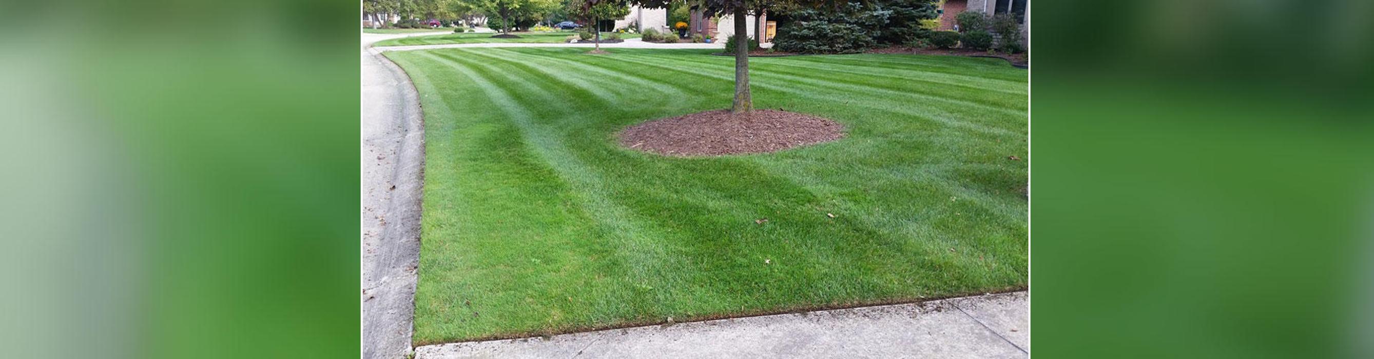 A & R Lawn Care, Inc. - Taylor, MI