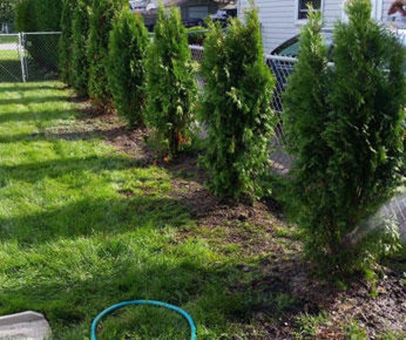 A & R Lawn Care, Inc. - Taylor, MI
