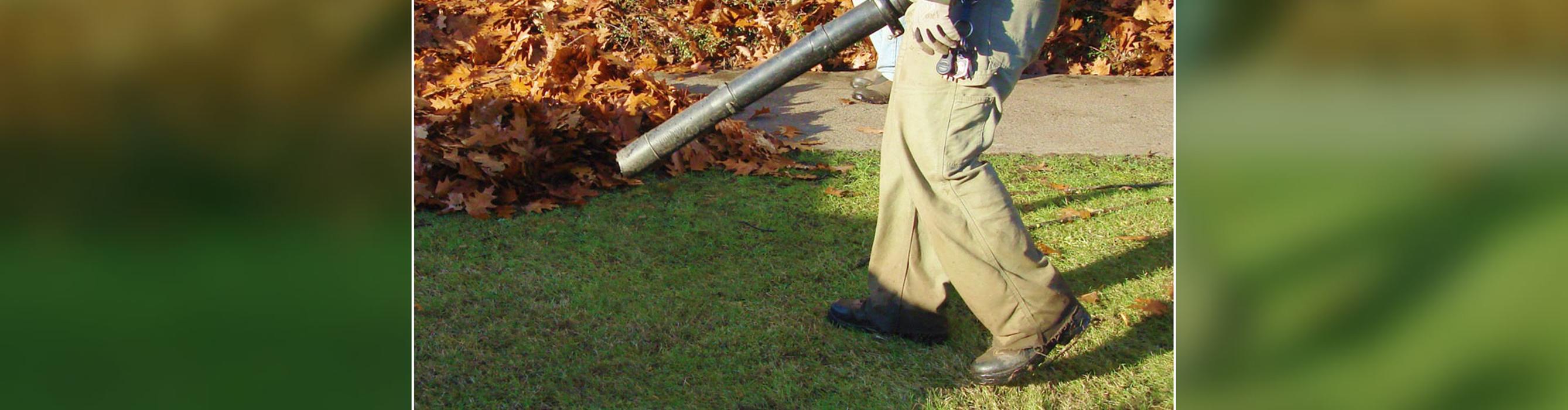 A & R Lawn Care, Inc. - Taylor, MI