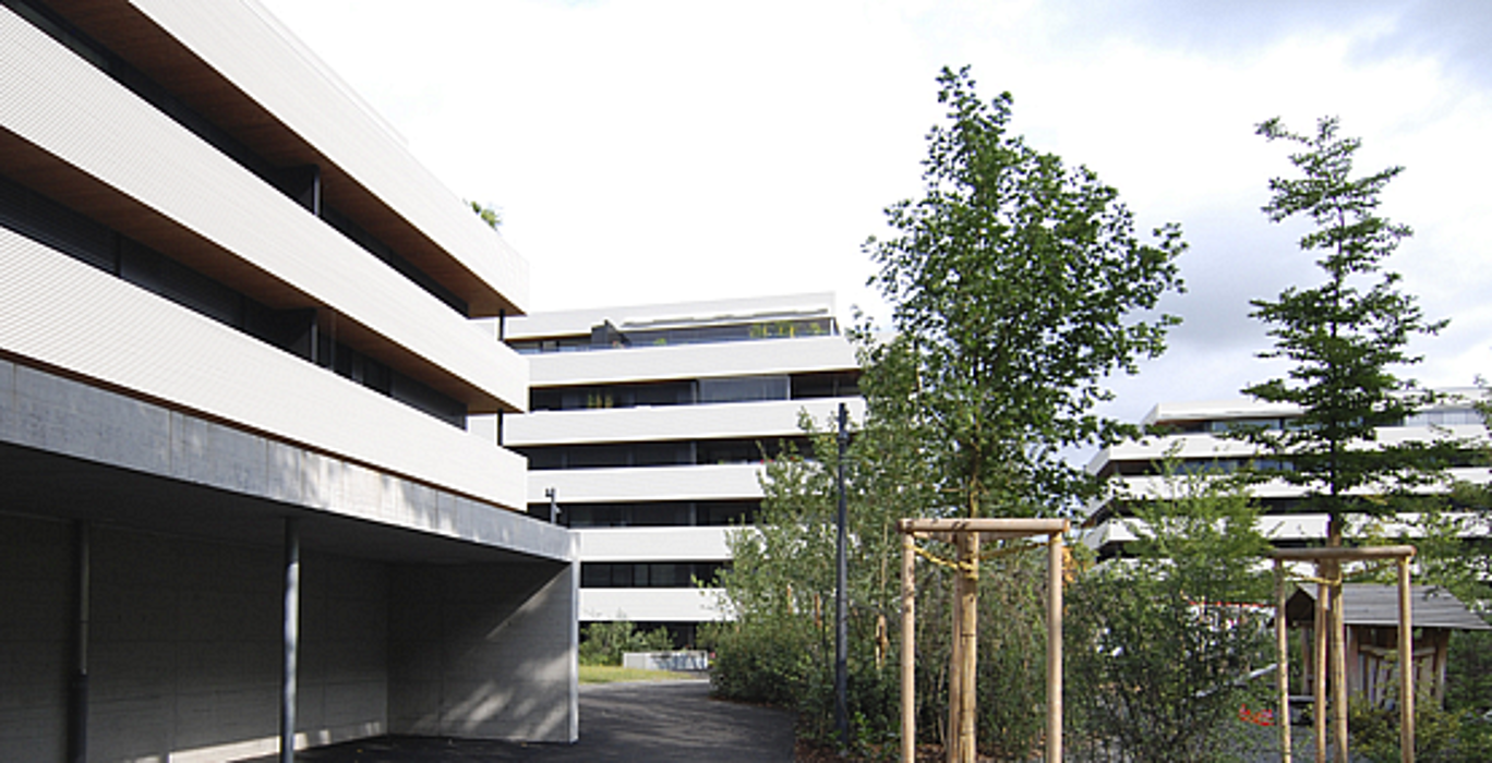 HW Hauswartungen AG, Sarbachstrasse in Neuheim