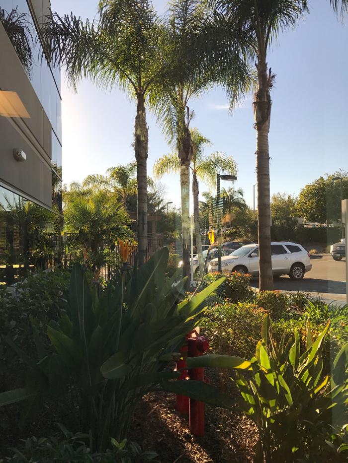 Expert Reputation - San Diego, CA