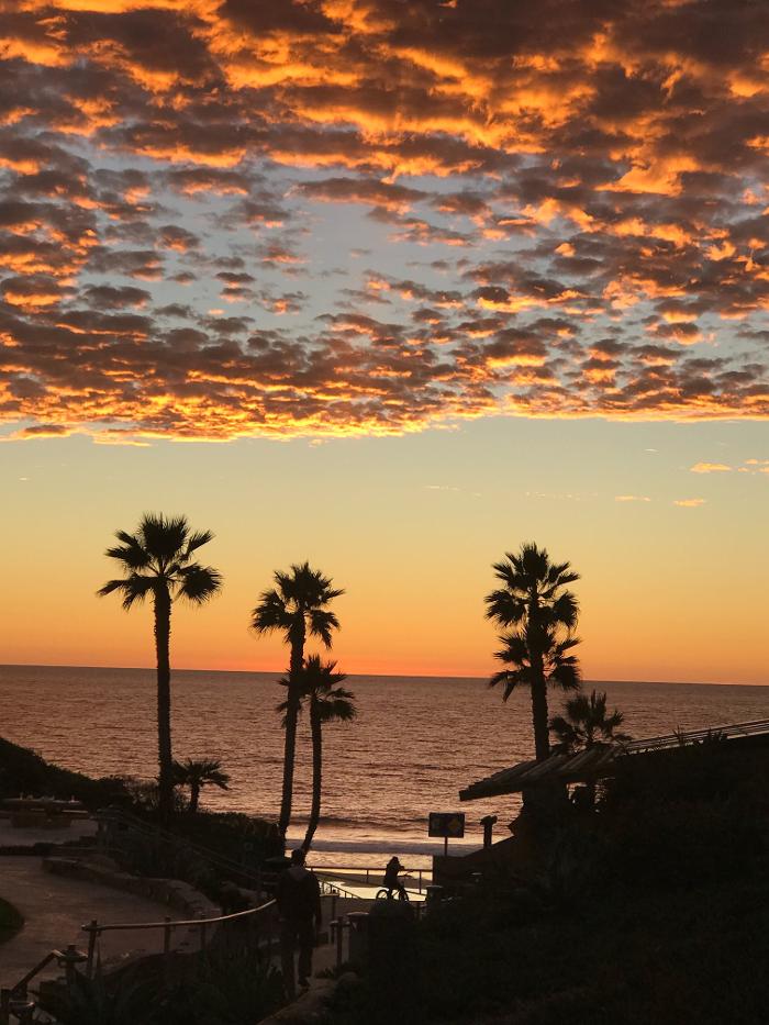 Expert Reputation - San Diego, CA