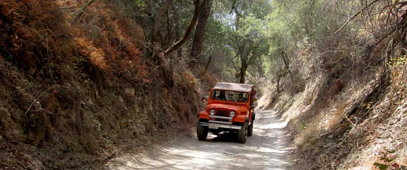 Central Coast Wine Tour Adventures - Paso Robles, CA