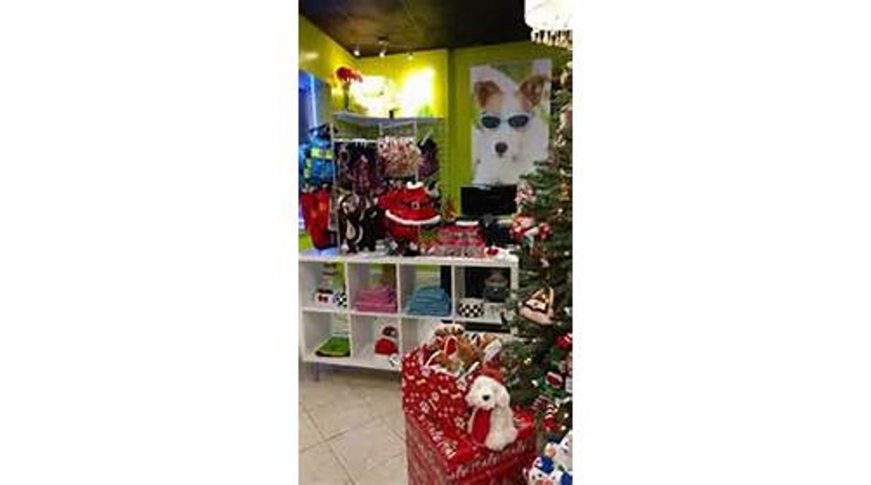 Splash and Dash Groomerie & Boutique