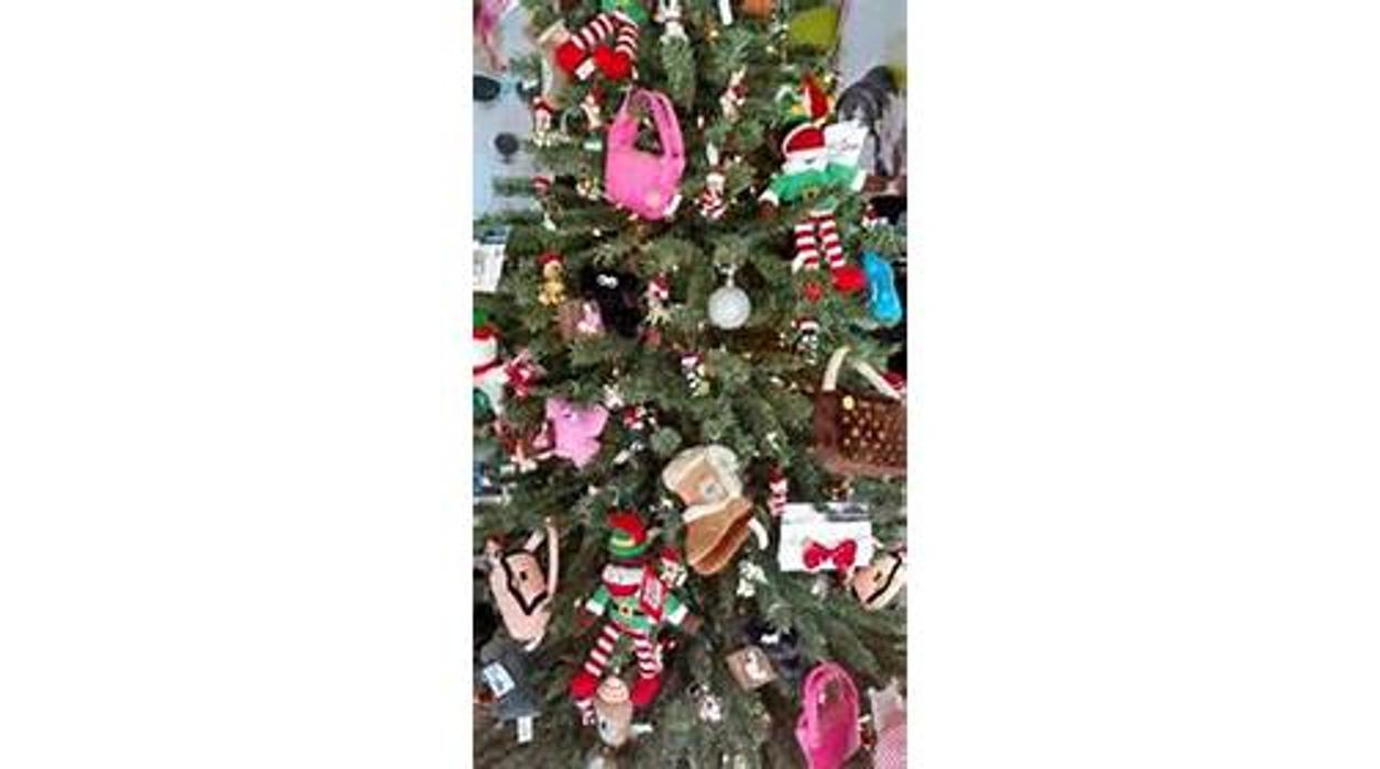 Splash and Dash Groomerie & Boutique