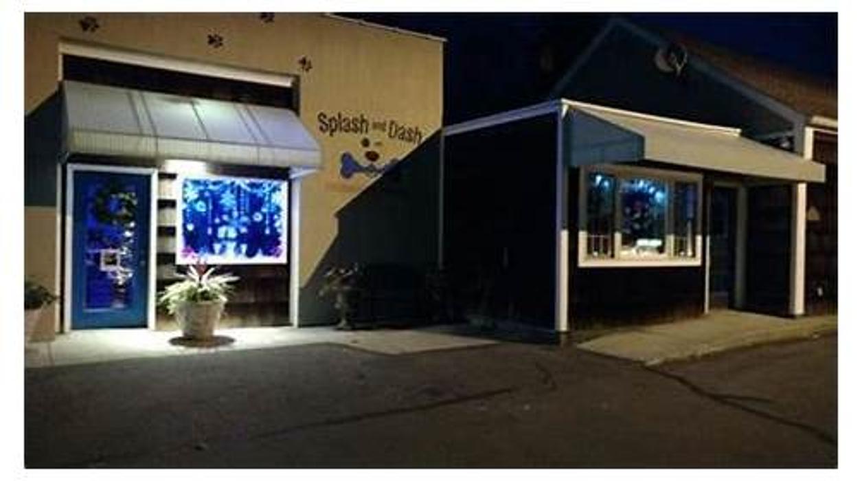 Splash and Dash Groomerie & Boutique