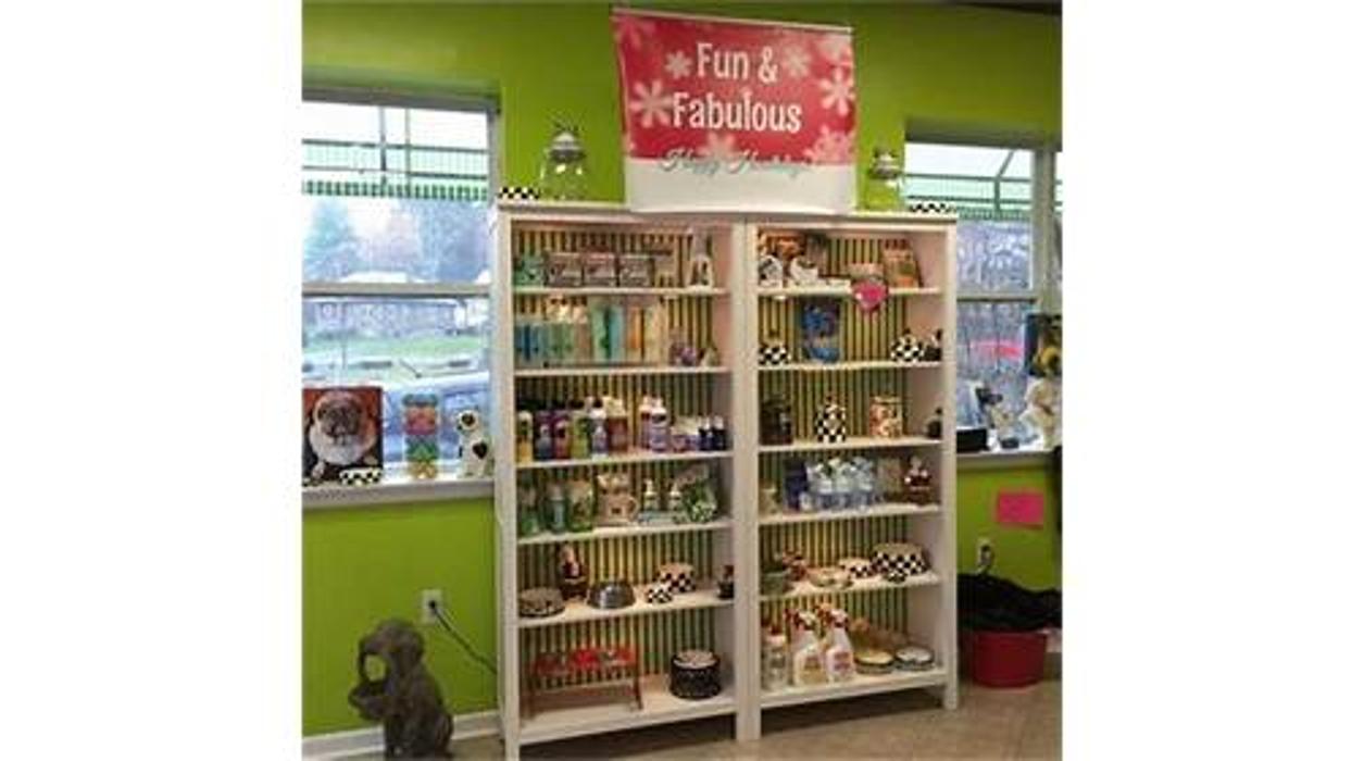 Splash and Dash Groomerie & Boutique