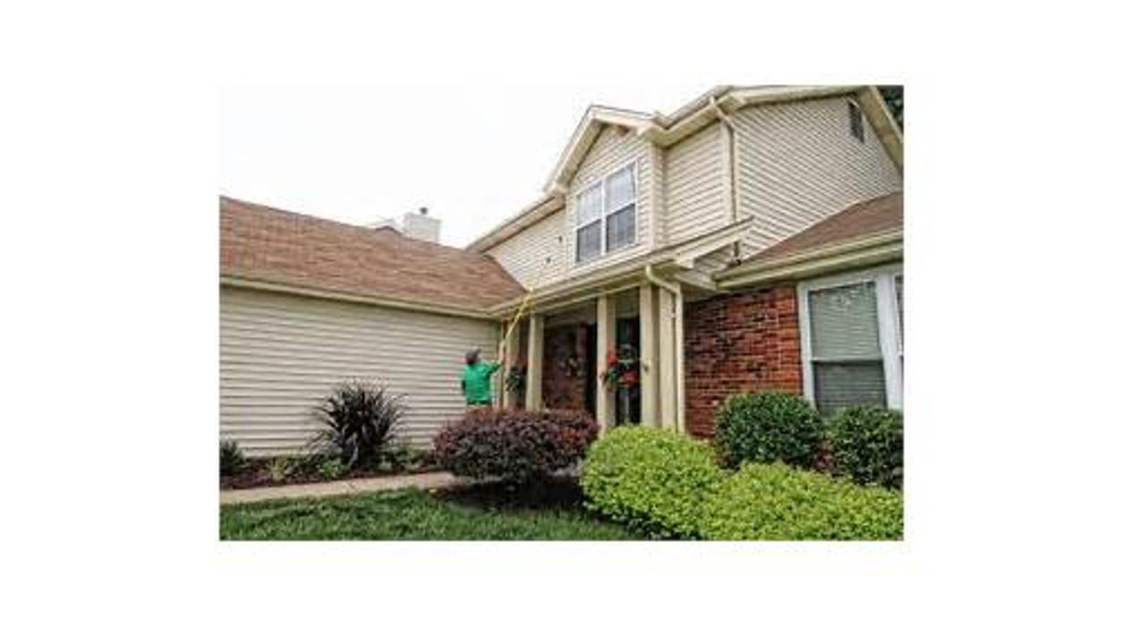 All Solutions Pest Control - O Fallon, MO