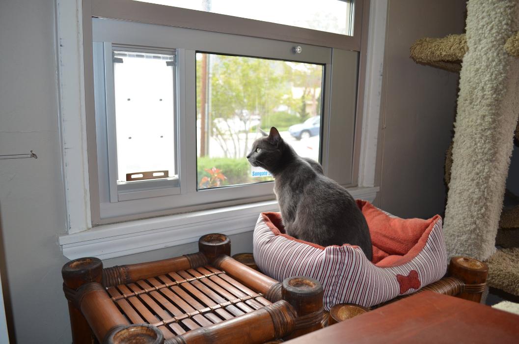 PetDoors.com - San Luis Obispo, CA